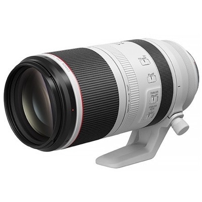 Read more about the article Canon RF 100-500mm F4.5-7.1 L IS USM 公司貨